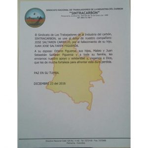 seno-orlanis